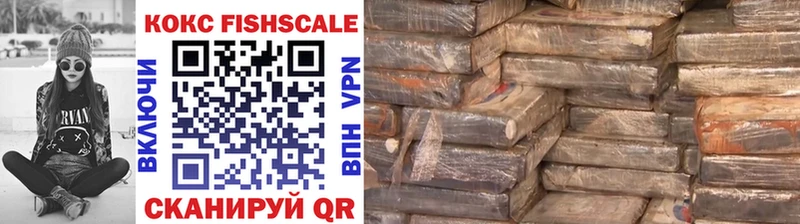 мега маркетплейс  Спасск  КОКАИН FishScale 