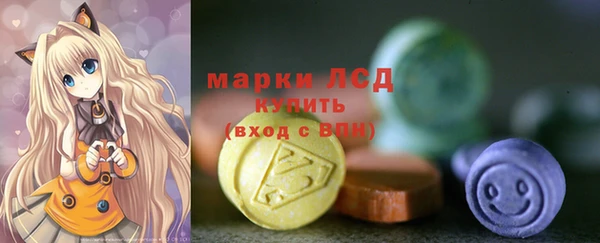 стаф Алексин