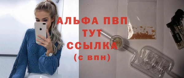 стаф Алексин