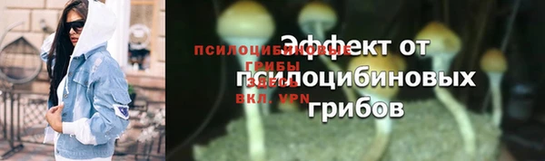 стаф Алексин